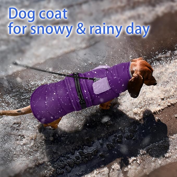 MIGOHI Comfortable Large Dog Coat - Waterproof Dog Coat with Reflective Strips,Windproof XXL Dogs Jacket with Warm Turtleneck, Snow Coats for Large Dogs,Labrador Golden Retriever,2XL,Purple
