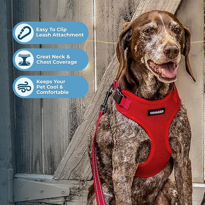 Voyager Step-in Lock Dog Harness w Reflective Dog Leash Combo Set with Neoprene Handle 5ft - Supports Small, Medium and Large Breed Puppies/Cats by Best Pet Supplies - Red, L (Pack of 2)