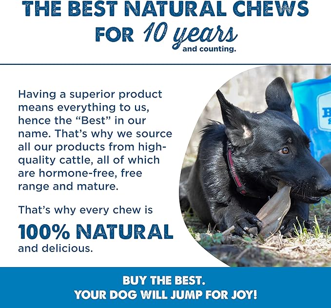 Best Bully Sticks Cow Ears for Dogs - 15 Count (Pack of 1) - Natural, Free-Range Grass-Fed, Single Ingredient, High Protein, Easily Digestible, Great for Various Breeds