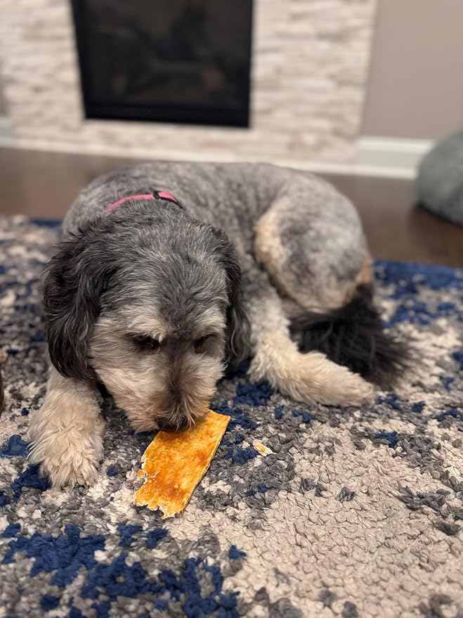 Fieldcrest Farms Nothin to Hide Flip Chips Dog Chews - Natural Rawhide Alternative Treats for Dogs, Collagen Based Snack for Moderate Chewers Up to 35lbs, Beef Flavor
