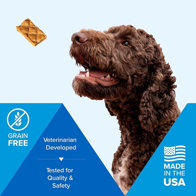 Celebrate Jerky Treats Chicken – Veterinarian Developed Chicken Jerky Dog Treats, Minimal Ingredients, High Protein
