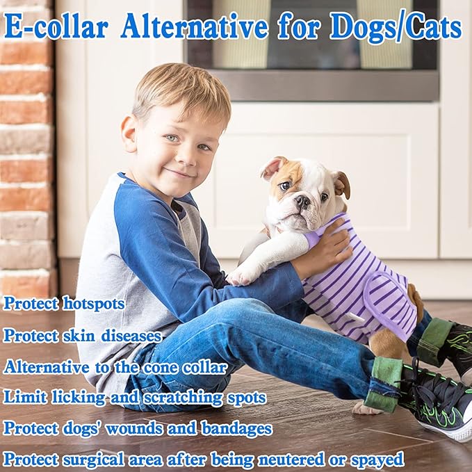 Dog Recovery Suit, Surgical Recovery Suit for Male Female Dogs Cats Spayed Onesie After Surgery, Dog Post Surgery Suit Anti Licking & Biting Surgical Shirt with Pee Hole，Purple Small