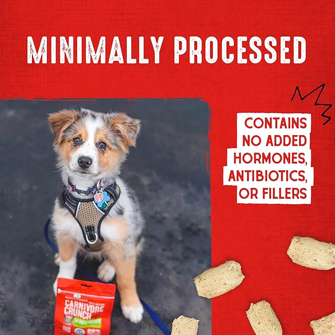 Stella & Chewy's Freeze-Dried Raw Dog Treats - Carnivore Crunch for Training - Natural Limited Ingredient, Grain-Free - Perfect for Picky Eaters - Chicken Recipe - 3.25 oz Bag