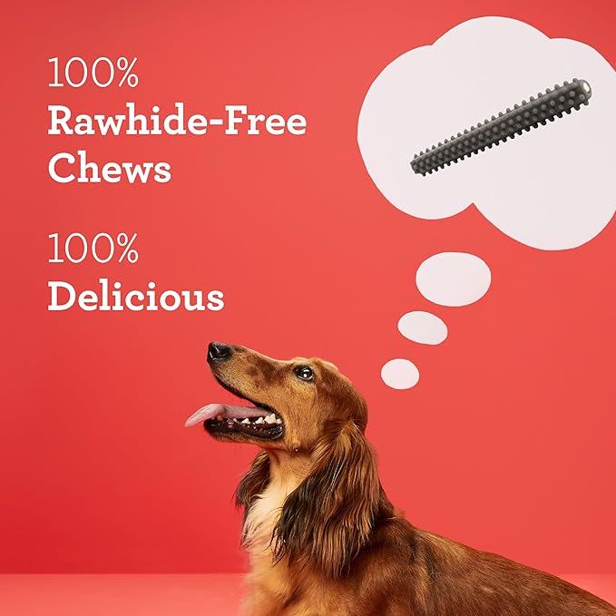 DreamBone Triple Action Dental Sticks Charcoal, 18 Count, Rawhide-Free Chews for Small and Medium Sized Dogs Freshens Breath