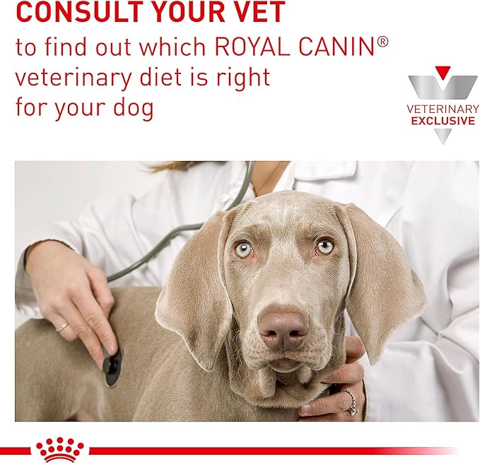 Royal Canin Veterinary Diet Canine Gastrointestinal Low Fat Adult Loaf Dog Food, 13.5 oz (Pack of 6)