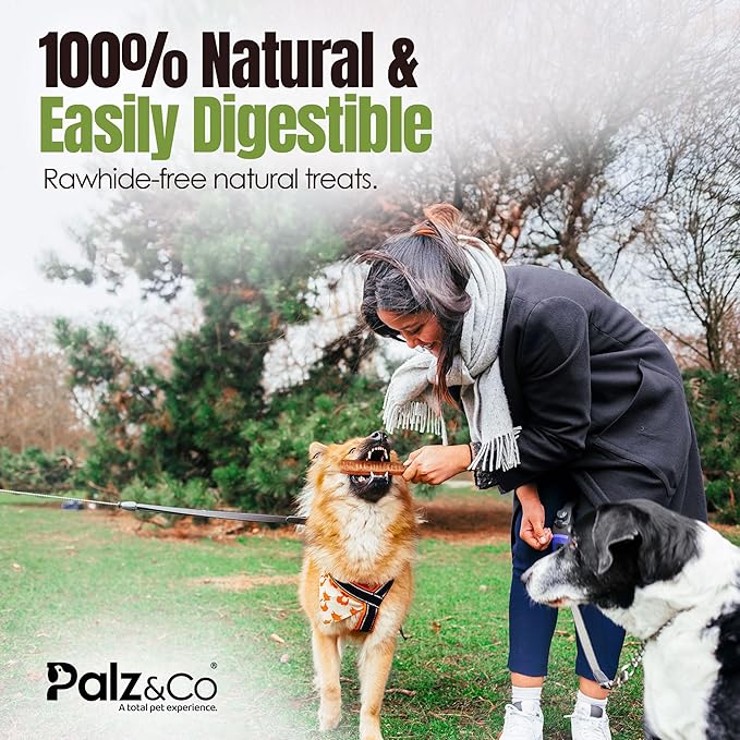 Palz&Co Moodog 6" Beef Trachea Tubes for Dogs - Natural Grass-Fed Chews with Glucosamine & Chondroitin, Supports Joints & Dental Health, 2-Pack