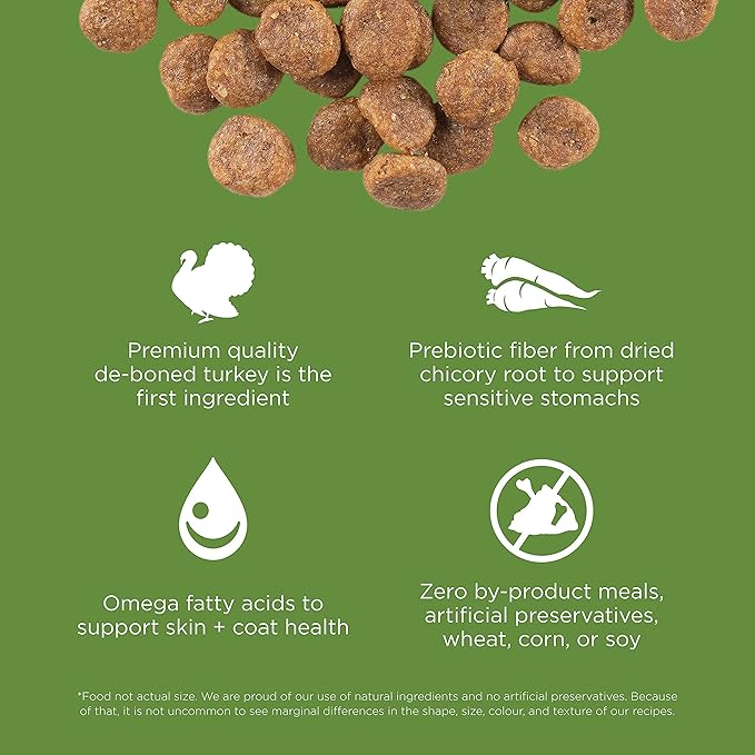 Go! Solutions Sensitivities Limited Ingredient Turkey Grain-Free Dry Dog Food, Chicken-Free Kibble Made by Experts for Sensitive Stomachs & Food Allergies, for Puppies, Adults, & Seniors, 12 lb Bag