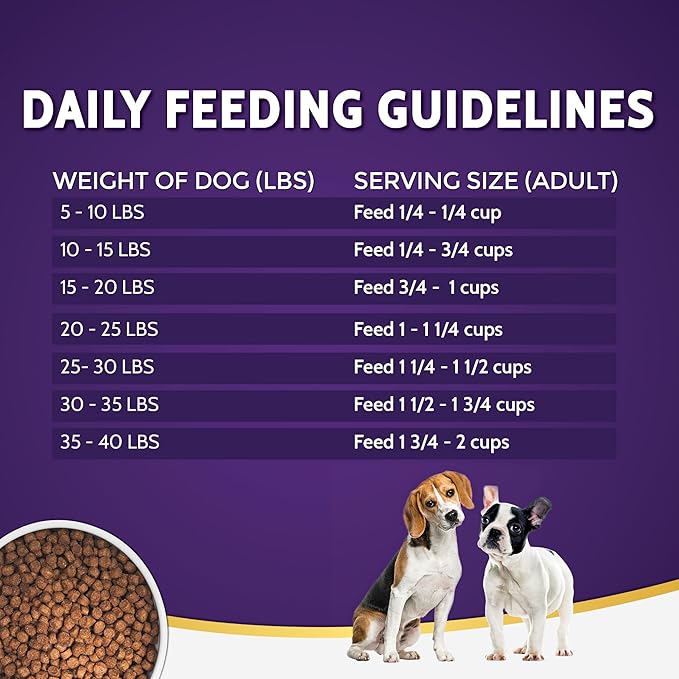 Zignature Lamb Small Bites Limited Ingredient Formula Dry Dog Food 12.5 lb