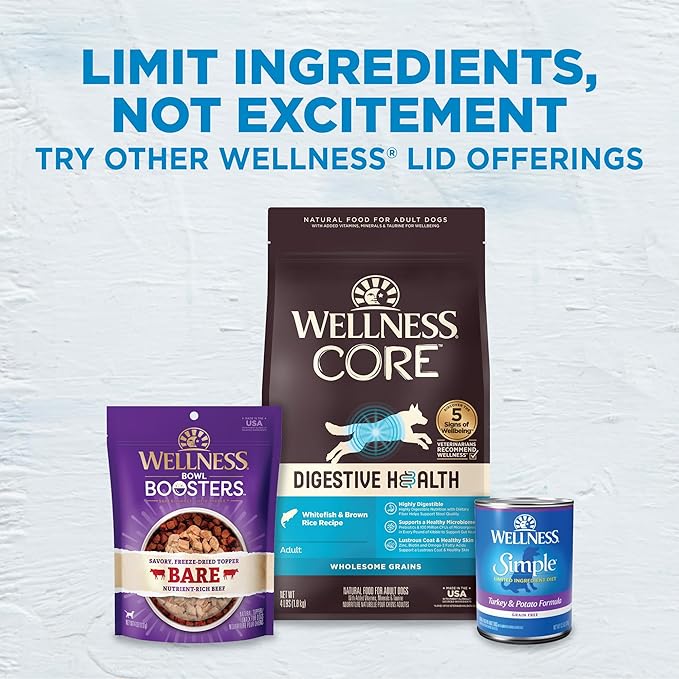 Wellness Simple Limited Ingredient Dry Dog Food for Sensitive Stomachs, Supports Skin & Coat, Wholesome Grains, Natural, Lamb & Oatmeal Recipe, (26-Pound Bag)