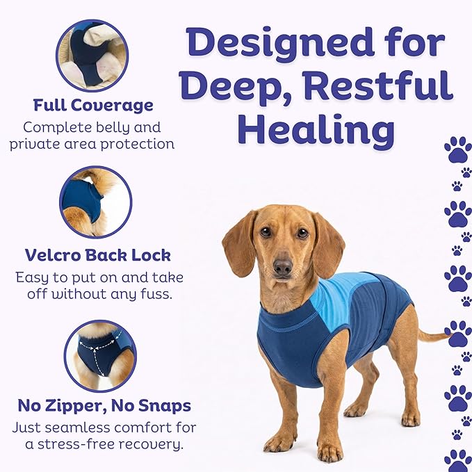 Surgi Snuggly Dog Surgery Recovery Suit - Dog Onesie for Post Surgery Recovery, Female Spay & Male Neuter - Surgical Suit for Dogs, E-Collar Cone Alternative, Double Blue - Small - 10" - 13" (EC)