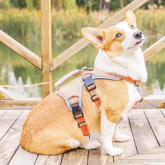 BELPRO Multi-Use Support Dog Harness, Escape Proof No Pull Reflective Adjustable Vest with Durable Handle, Dog Walking Harness for Big/Active Dogs (Orange, M)
