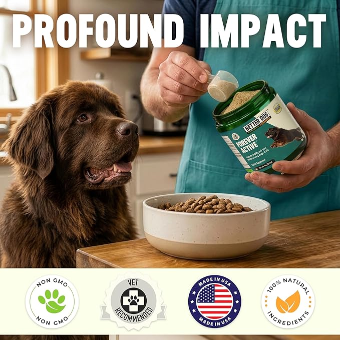 Better Dog Supplements Forever Active by Cesar Millan – Natural Dog Hip & Joint Care for Mobility, Flexibility & Comfort – Herbal Blend Dog Joint Supplement Powder – 4oz (60-Day Supply)
