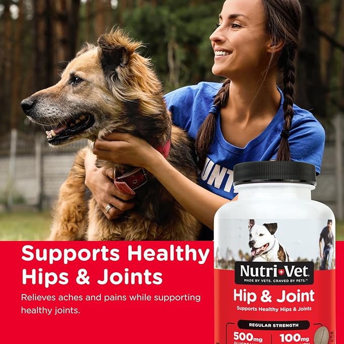 Nutri-Vet Hip & Joint Regular Strength Chewable Dog Supplements, Formulated with Glucosamine Chondroitin, Pet Supplies, Joint Supplement for Dogs, Pet Care, Puppy Essentials, 120 Count