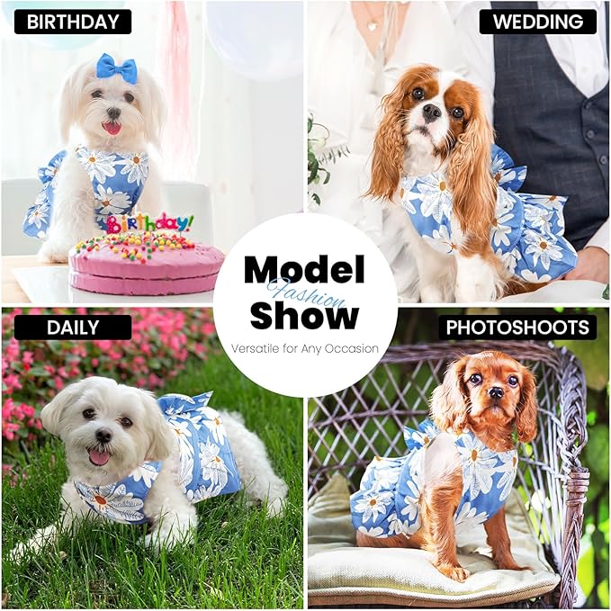 ABRRLO Cute Dog Dress Small Dog Clothes For Girls Female Puppy Outfits Blue Daisy Pet Summer Clothes Bowknot Doggy Cat Princess Dress Harness Set for Holiday Birthday Party Costume Clothing (Blue,XXL)