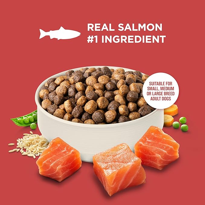 Nutrish Rachael Ray Adult Dry Dog Food Real Salmon, Veggies & Brown Rice Recipe, 12 lb. Bag