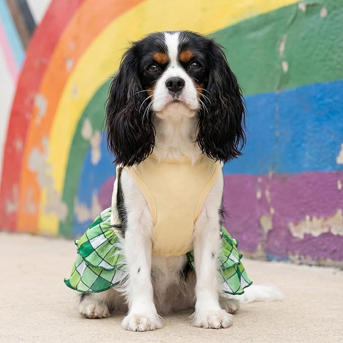 Fitwarm Happy Go Lucky Dog Dress, St Patricks Day Dog Clothes for Small Dogs Girl, Funny Pet Outfit, Green, Light Yellow, Medium