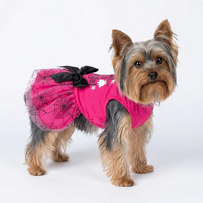 Fitwarm Little Miss Bootiful Halloween Dog Dress, Funny Costumes for Small Dogs Girl, Pet Outfit, Black, Hot Pink, XXS