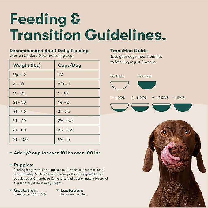 Jinx Premium Dry Dog Food, for All Life-Stages - Real Salmon, Brown Rice & Sweet Potato Kibble with Superfoods for Immune Support & Probiotics for Digestive Support - No Fillers – 4lb (Pack of 2)