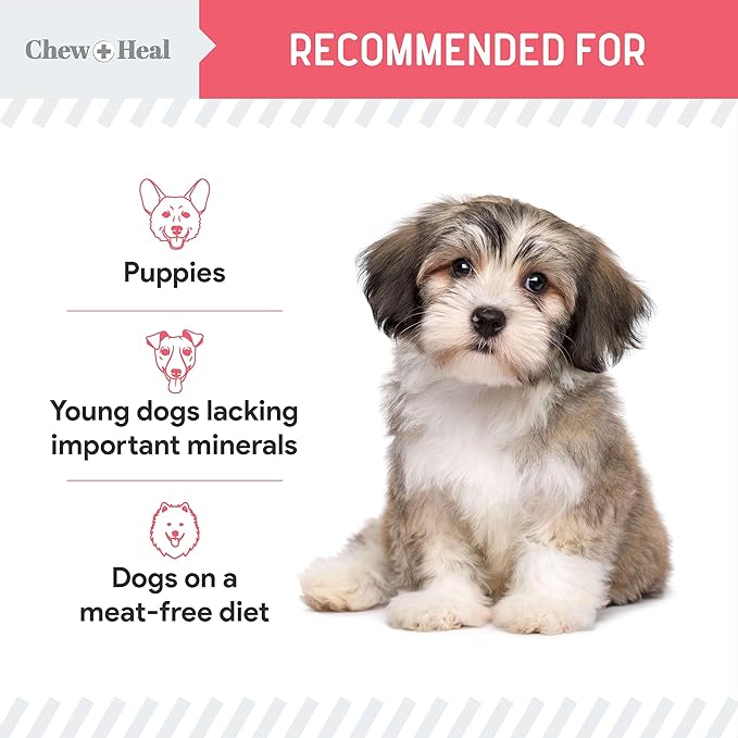 Chew + Heal Labs Dog Salmon Jerky for Puppies - 12 oz of Wild Caught Alaskan Salmon Jerky for Puppy Development with Chickpeas, Carrots, Sweet Potato, and Fruit - Made in The USA