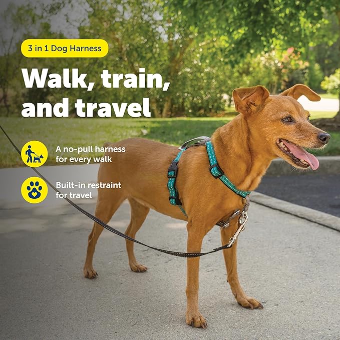 PetSafe 3 in 1 No-Pull Dog Harness for Small Dogs- Walk, Train or Travel - Helps Pets from Pulling on Walks - Seatbelt Loop Doubles as Quick Access Handle - Reflective- Extra Small, Teal