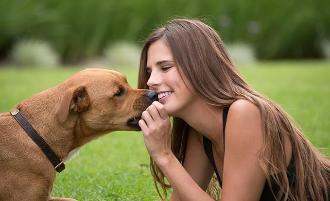 KONA'S CHIPS Burgers in Heaven - Tasty Round Beef Patties for Dogs 16 oz, Great Beef Treat for Dog Made in The USA
