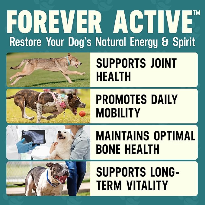 Better Dog Supplements Forever Active by Cesar Millan – Natural Dog Hip & Joint Care for Mobility, Flexibility & Comfort – Herbal Blend Dog Joint Supplement Powder – 4oz (60-Day Supply)