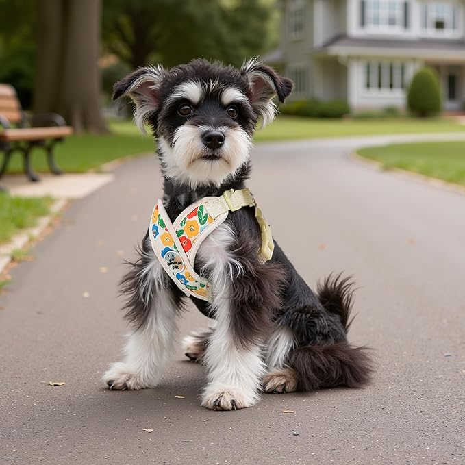 Patas Lague Dog Harness with Leash Set Adjustable Soft Padded Step-in Dog Vest No Choke No Pull Reflective for Medium Pets with Poop Bags and Dispenser, Solid and No-chew, Floral Yellow L