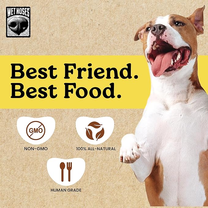 Wet Noses Moments Soft & Chewy Dog Treats – All-Natural, Human-Grade, Non-GMO, Healthy Training & Delicious Snacks for Dogs, for All Dog Sizes & Breeds – Peanut Butter & Banana, 10oz (Single Pack)