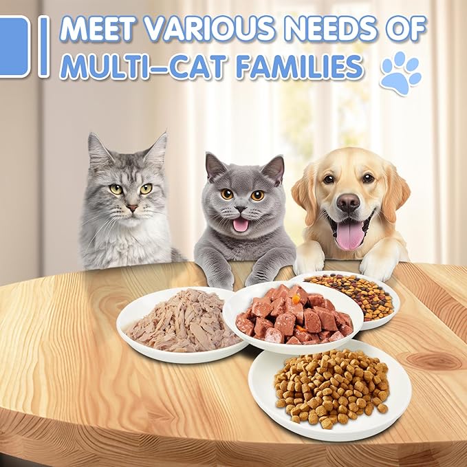 6 Pack Cat Food Bowl, Ceramic Cat Bowls, Anti Whisker Fatigue Cats Bowl Set,5.5 Inches Shallow Wide Kitten Plates for Food and Water (White-C)