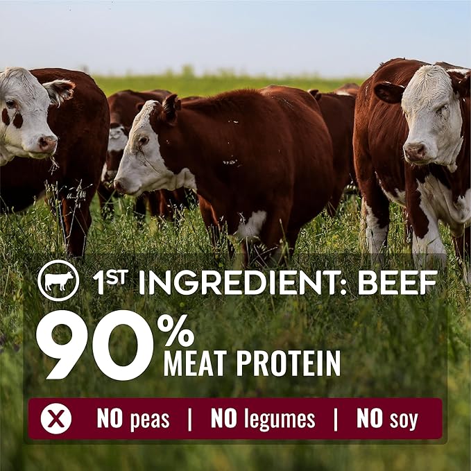 Nature’s Logic Pure Naturals™ 100% Natural Beef Recipe Synthetic-Free Dry Dog Food, 12 lbs
