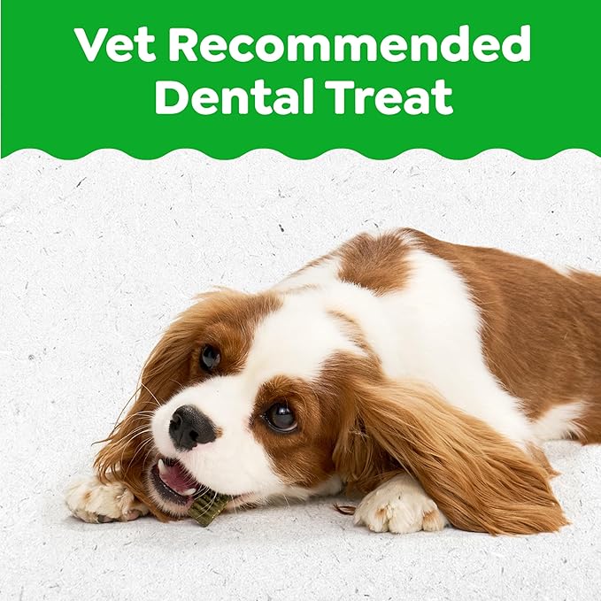 Greenies Dog Treats Veterinarian-Recommended Natural Dental Puppy Treats Teenie Size, 12 oz. Pack, 43 Count