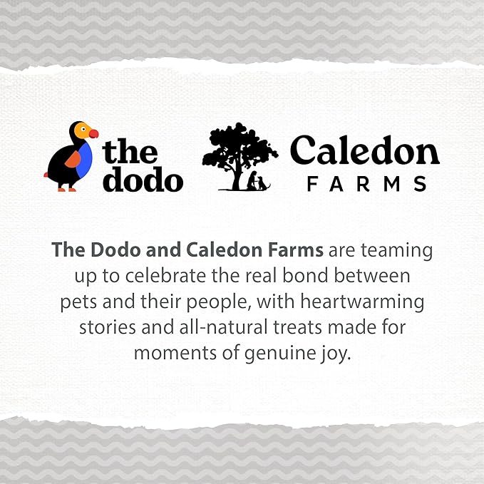 Caledon Farms The Dodo Baked Bites Beef & Sweet Potato 9.35 oz, Dog Treats