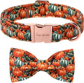 Unique style paws Cotton Dog Collar with Bow Autumn Puppy Collar with Halloween Oil Painting Pumpkin for Small Medium Large Boys Girls Dogs