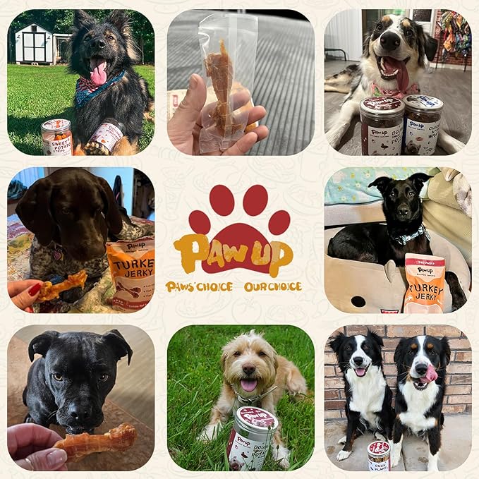 PAWUP Turkey Dog Treats, Turkey Wrapped Beef Tendon, Rawhide Free, Bone-Shaped Sticks Turkey Treats for Medium & Large Dogs (36 g/Stick, 2 Count)