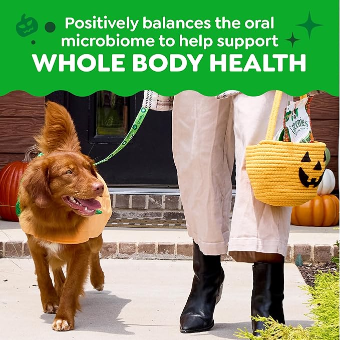 Greenies Veterinarian-Recommended, Limited-Edition Natural Dental Dog Treats Large Size, Pumpkin Spice Flavor, 12 oz. Pack, 8 Count