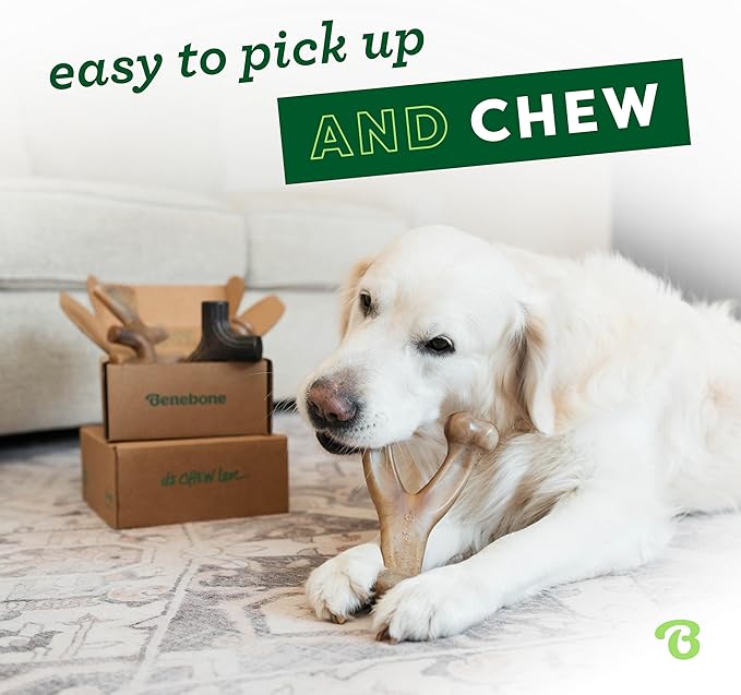 Benebone Large 4-Pack Dog Toys for Aggressive Chewers – Durable Dog Bones, Made in USA – Dog Toys for Large Dogs Under 90 lbs