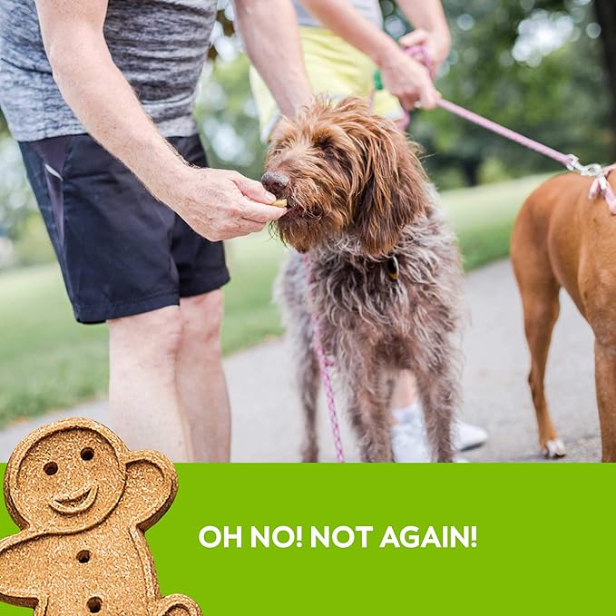 Buddy Biscuits Oven Baked Healthy Dog Treats, Crunchy, Whole Grain and Baked in The USA, 16 oz, 6 Pack