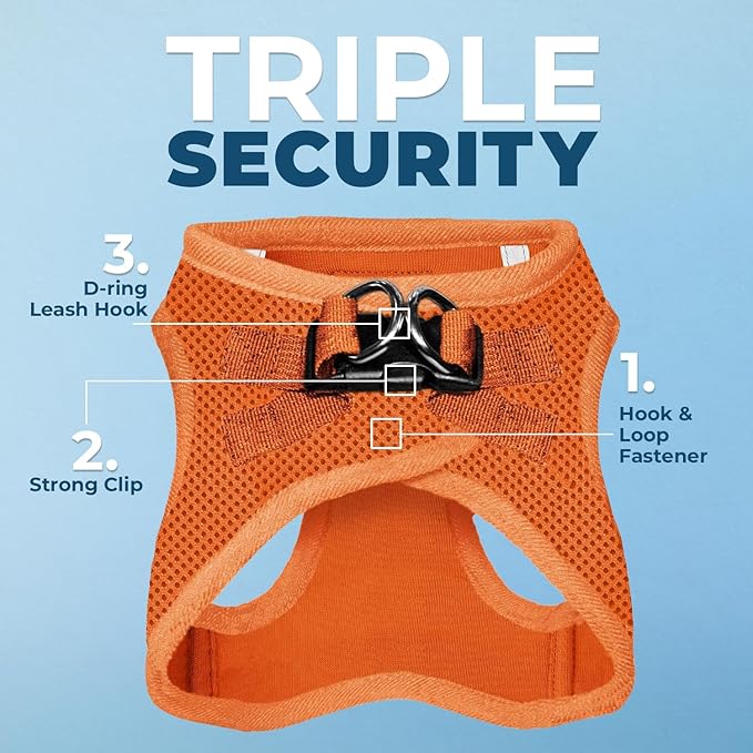 Best Pet Supplies Voyager Step-in Air All Weather Mesh Harness and Reflective Dog 5ft Leash Combo with Neoprene Handle, for Small, Medium and Large Breed Puppies - Set (Orange), Large