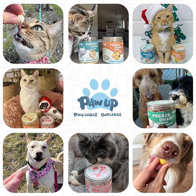 PAWUP Freeze Dried Dog Treats, Goat Milk Yogurt Flavor, Gentle Goat Milk Dog Snacks for Sensitive Stomachs Puppies, 2.8 oz