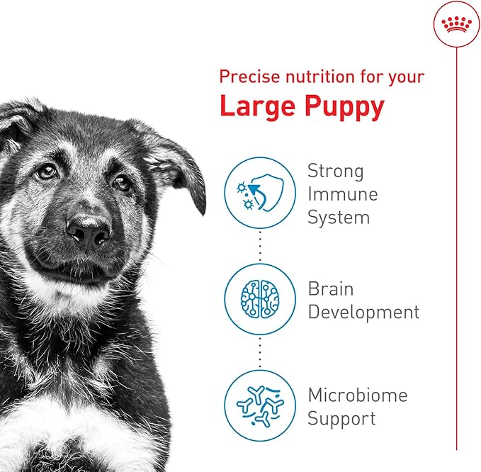Royal Canin Size Health Nutrition Large Puppy Dry Dog Food, 4 lb Bag
