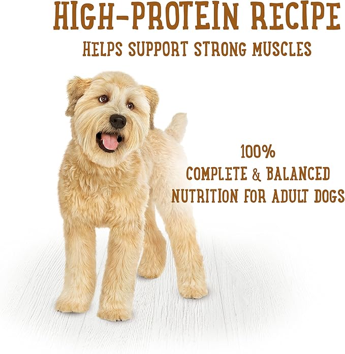 Beneful Purina Wet Dog Food Freshly Prepared Meals Chicken Stew with Rice, Carrots, Peas, and Barley Tubs- 10 oz. 8 Count (Pack of 2)