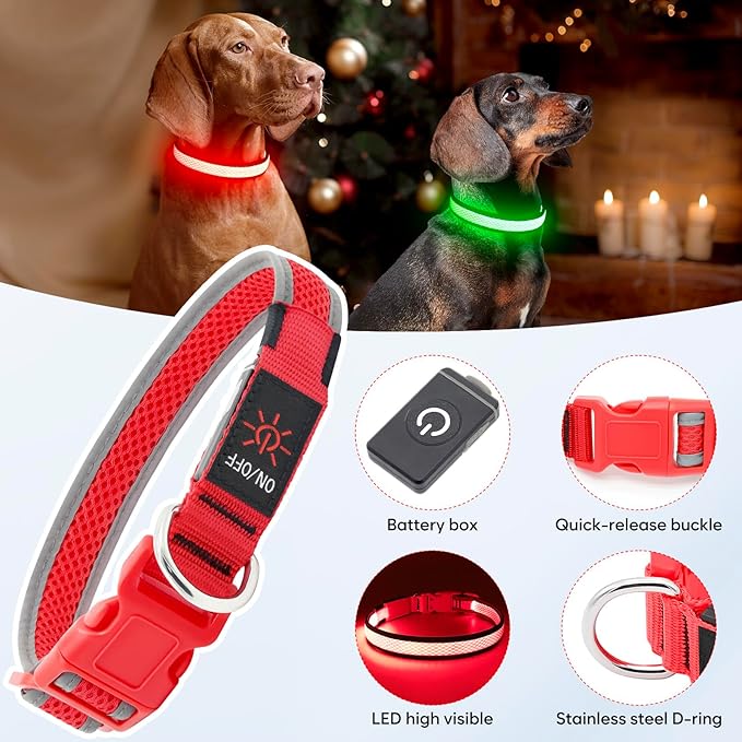 Flashseen LED Dog Collar, Light Up Dog Collar USB Rechargeable, Brightest Dog Lights for Night Walking, Adjustable Dog Collar Light for Dog Safety (Red, Medium)