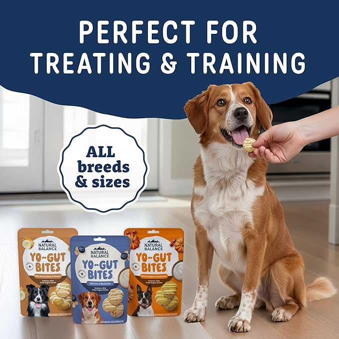 Natural Balance Yo-Gut Bites Crunchy Dog Treats with Real Peanut Butter & Banana, Greek Yogurt Drizzle, Probiotics for Digestive Support, 4.5oz Bag