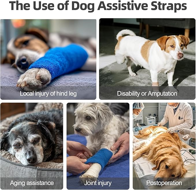 Dog Sling for Large Dogs Hind Leg Support, Adjustable Soft Padded Harness for Weak, Injured, or Disabled Back Legs, Helps Support Senior, Arthritic, and Mobility-Impaired Dogs (Large)