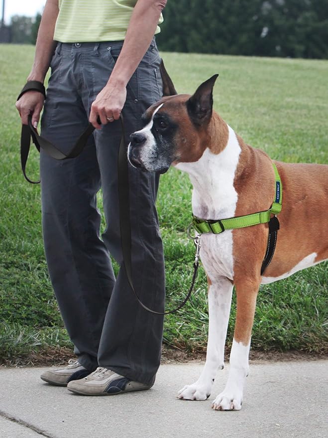 PetSafe Deluxe Easy Walk Harness - Trainer-Trusted Dog Chest Harness with Breathable Martingale Loop Design - Helps Stop Pulling with No Choking & Gagging - Medium/Large - Apple