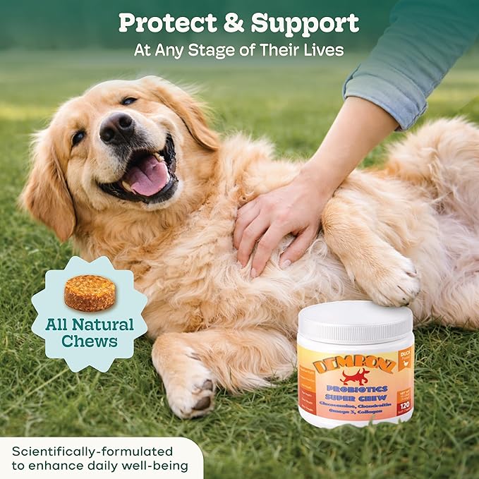 Probiotics for Dogs, Hip Joint Supplement for Dogs – Hip and Joint Plus Gut Health Chews, Glucosamine, Chondroitin, Omega 3, Collagen & Probiotics, Supports Digestion Joints and Hips, Immunity, Fur