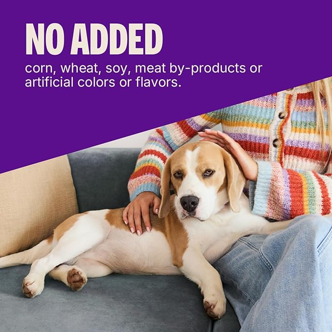 Wellness CORE Puppy Treats, Natural, Training Treat, Grain Free, Brainiac Beef & Turkey (6 Ounce Bag)