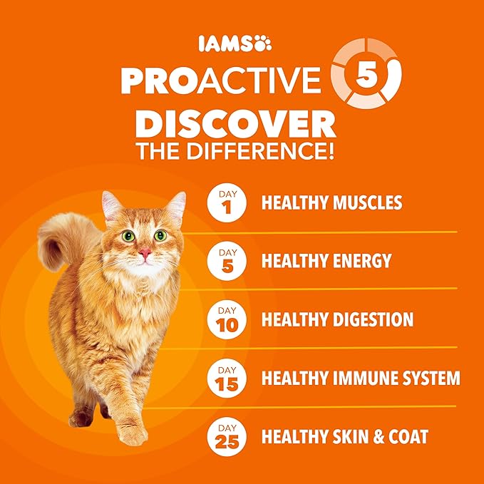 IAMS Proactive Health Dry Cat Food, Healthy Cat Food Dry Recipe for Adults, Salmon, 7 lb. Bag