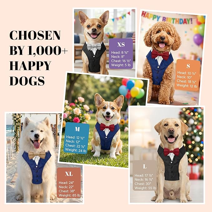 AVERYDAY Dog Tuxedo for Wedding Outfit, Dog Suit and Tie Costumes for Birthday, Halloween, Cosplay, Christmas Party, Pet Formal Wear with Bowtie, Tux for Small Dogs, Chihuahua, Bichon, Maltese, Cats