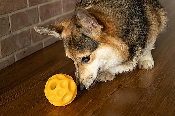 Starmark Treat Dispensing Tetraflex Dog Toy Medium